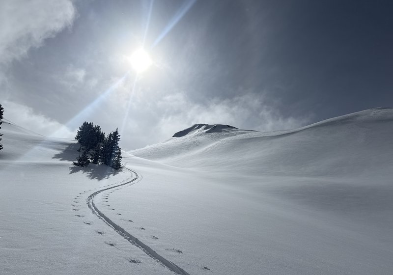 Backcountry ski touring in deep winter — challenging